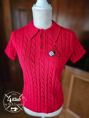 DST Polo 1